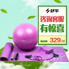舒華瑜伽球瑜伽磚拉力帶織帶拉力管瑜伽墊瑜伽墊健身球瑜伽套裝